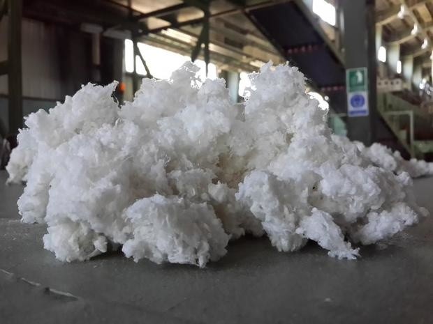 Cellulose